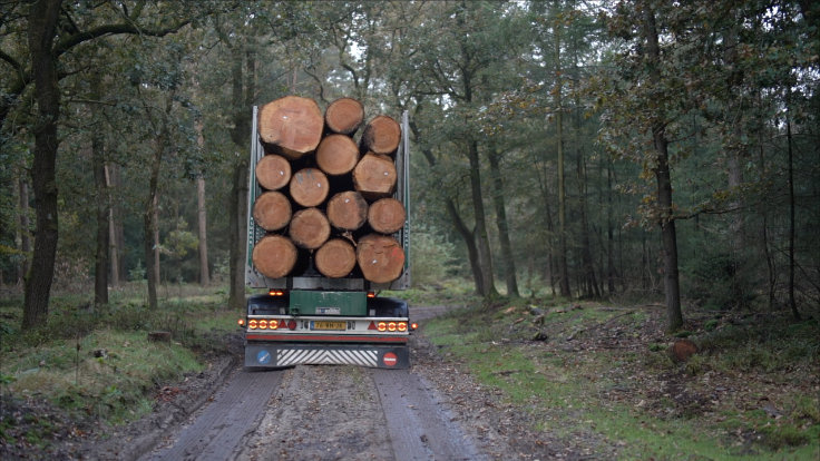 NEDERLANDSE BIOBASED MATERIALEN